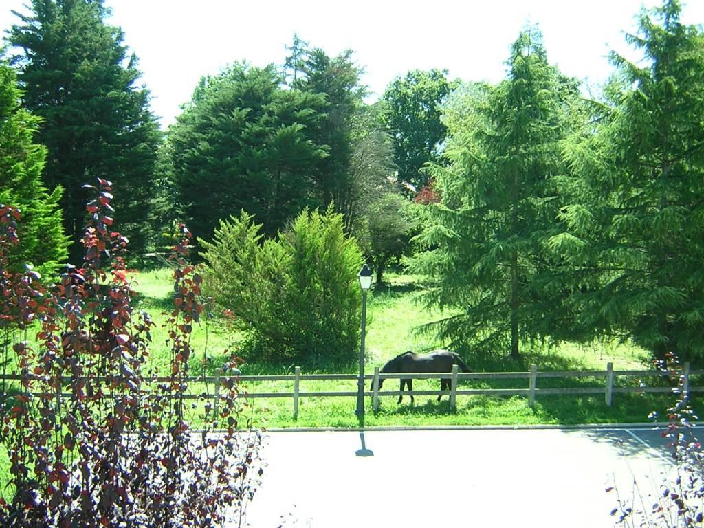 Gasthof Casa De Julia *